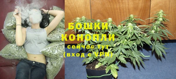 мдма Заводоуковск