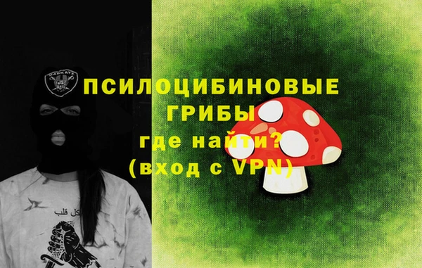 мдма Заводоуковск
