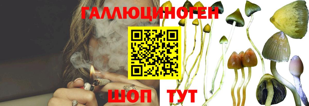 Псилоцибиновые грибы Magic Shrooms  Псилоцибиновые грибы ЛСД  Сланцы  Вход с VPN 