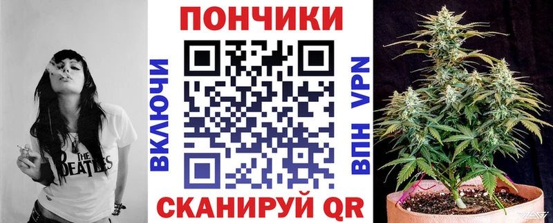 Каннабис Amnesia  где найти   Сланцы 